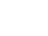 IDS
